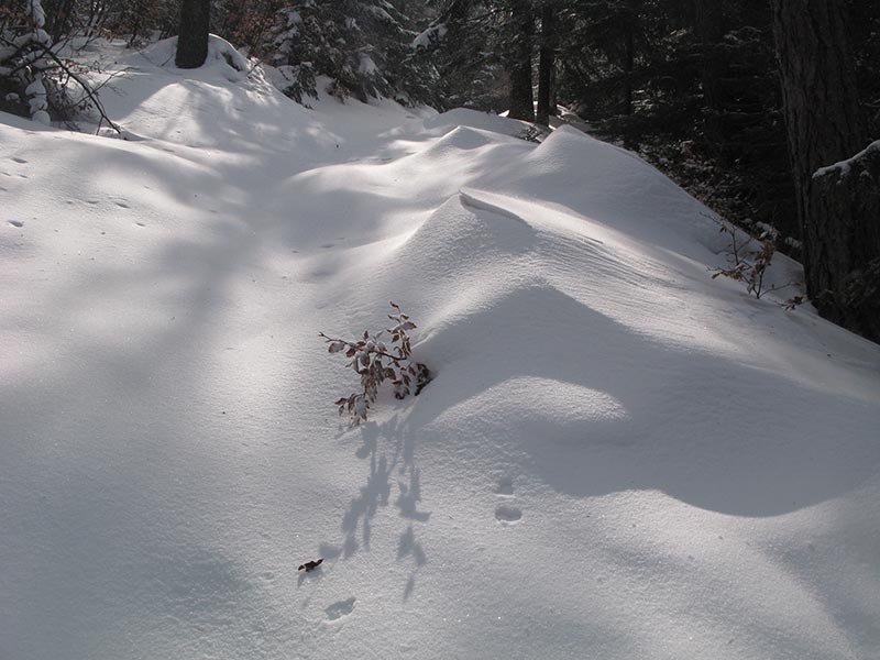 Sonne und Schnee